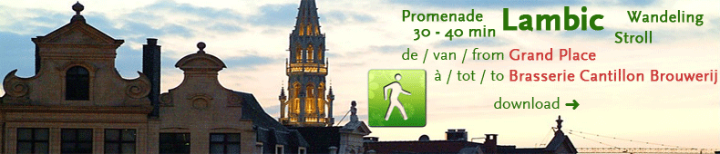 promenade Grand Place Brussels wandeling stroll
