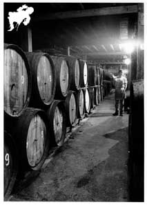 Cantillon Brewery